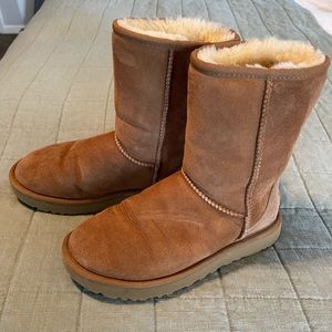 Ugg Classic Short II Chestnut Size W6